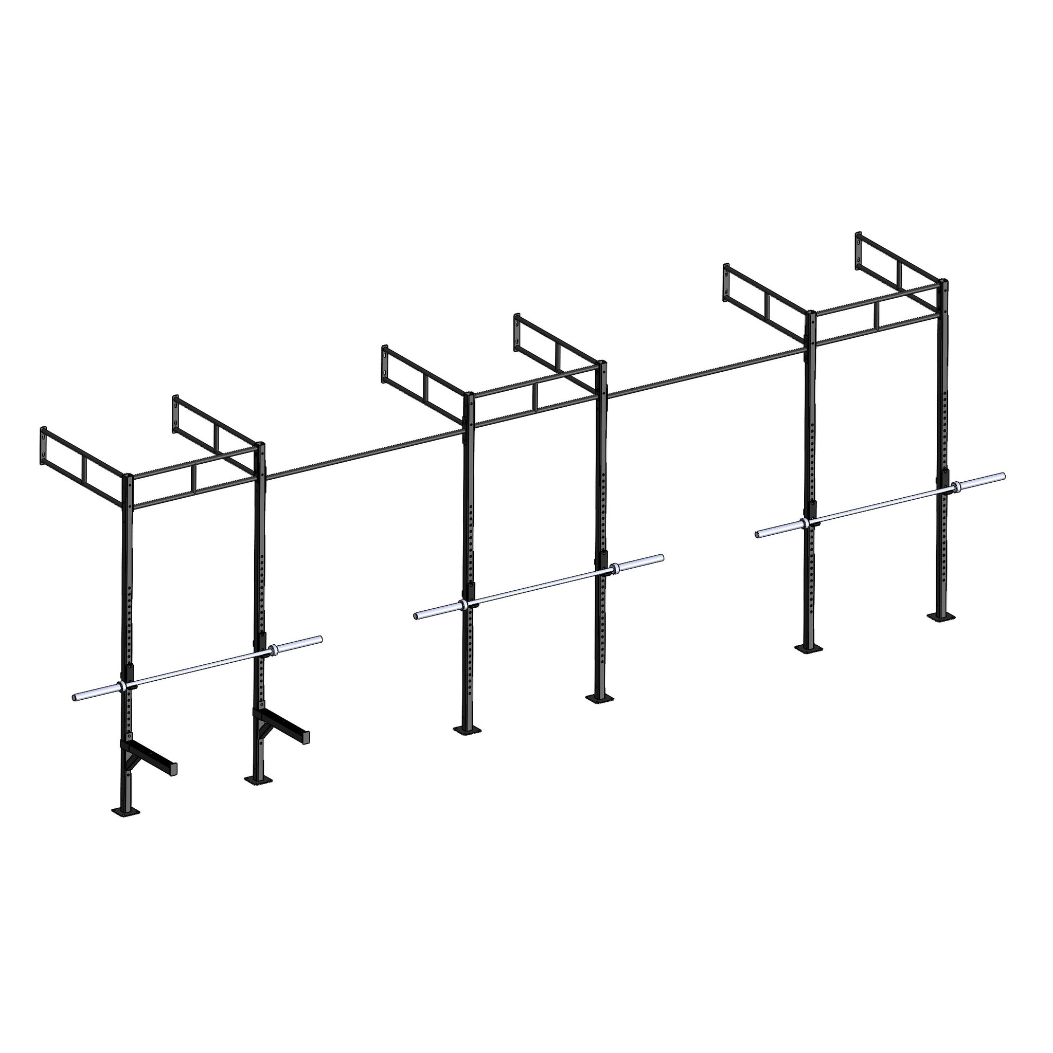 PTessentials Wall Mount Crossfit Rig V19-2 afbeelding