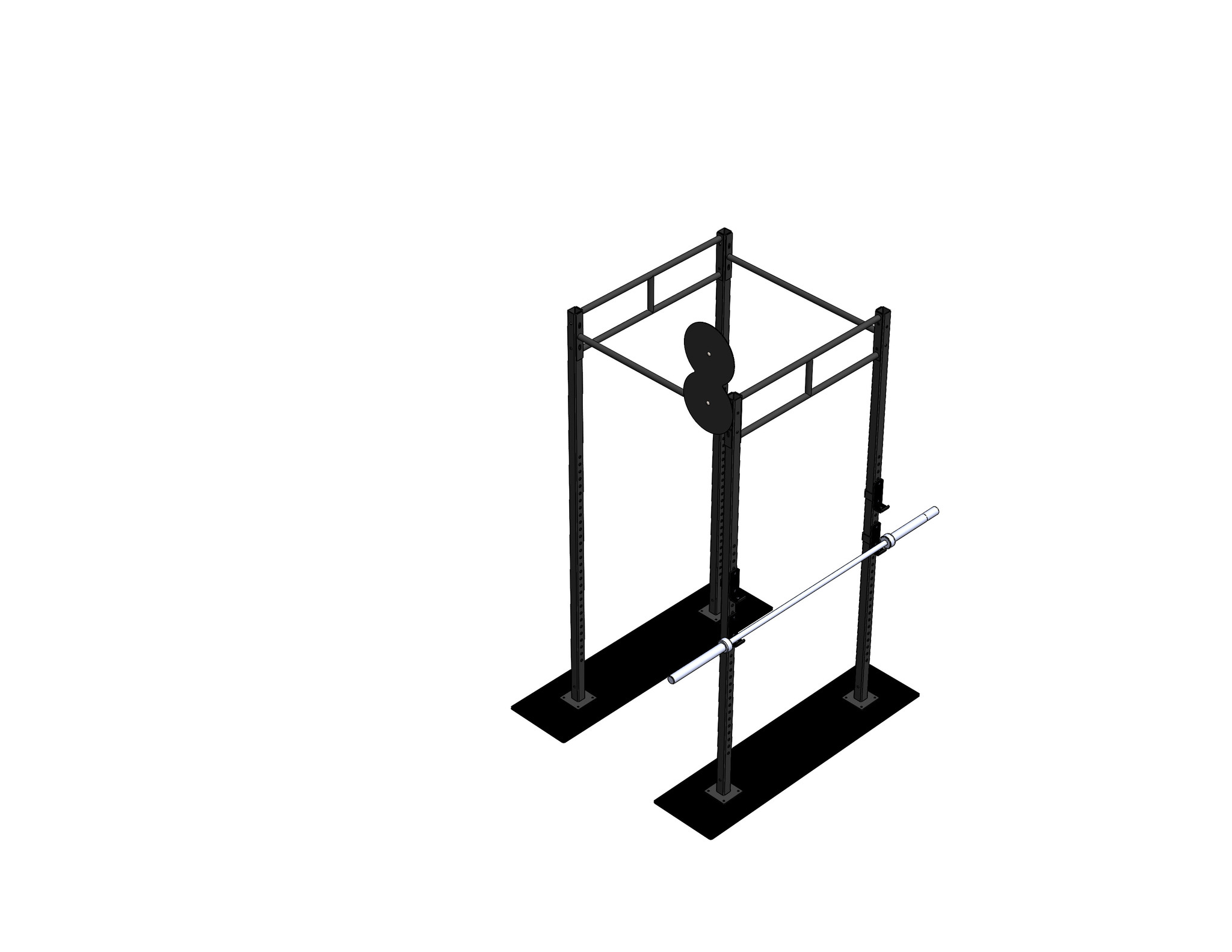 PTessentials Heavy Duty Crossfit Rig V27 afbeelding