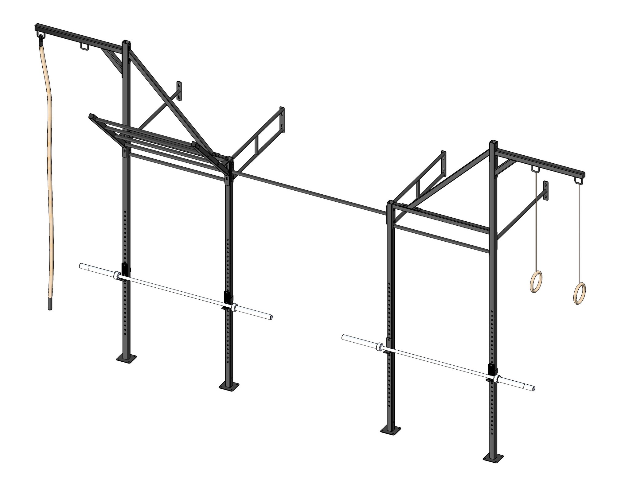 PTessentials Wall Mount Crossfit Rig V13-3 afbeelding