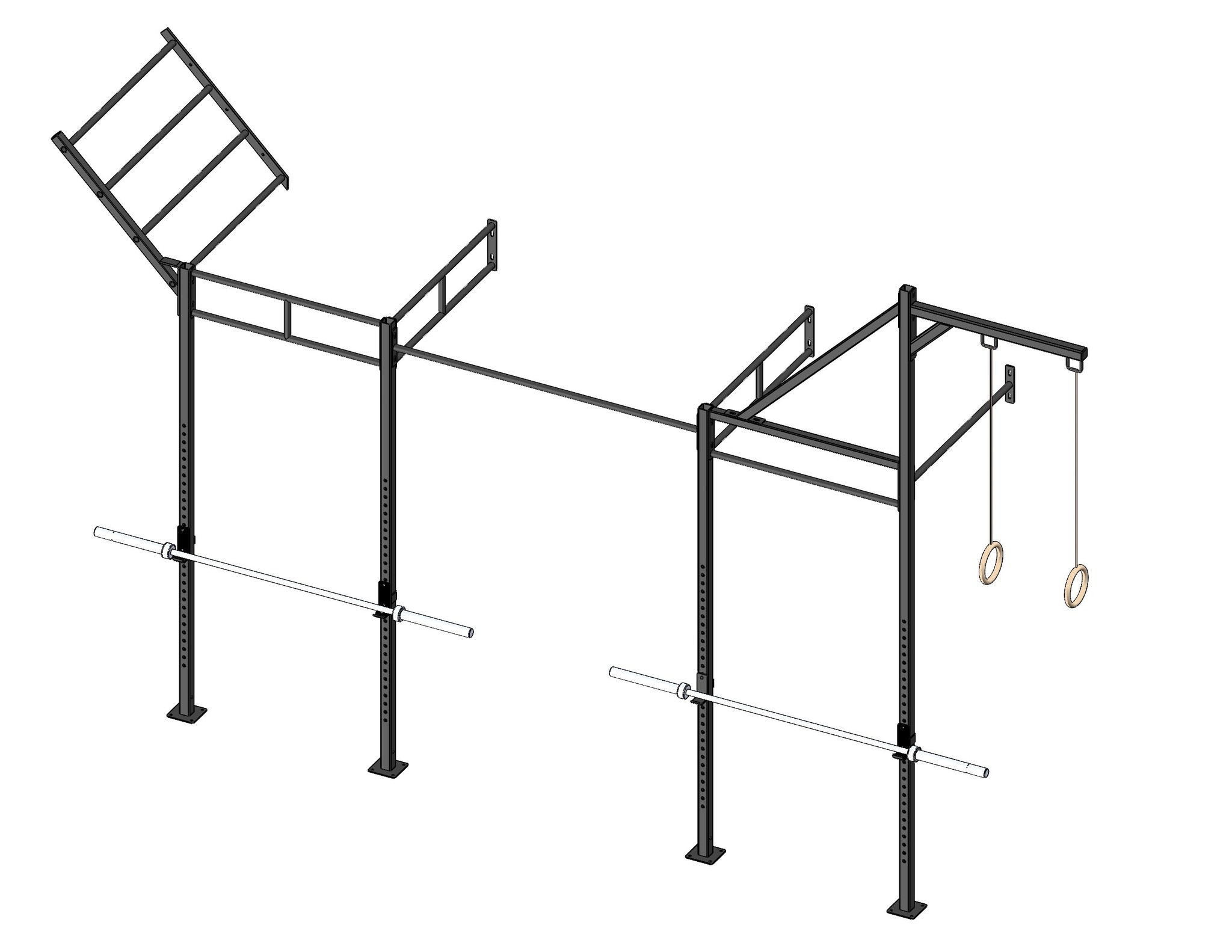PTessentials Wall Mount Crossfit Rig V13-4 afbeelding