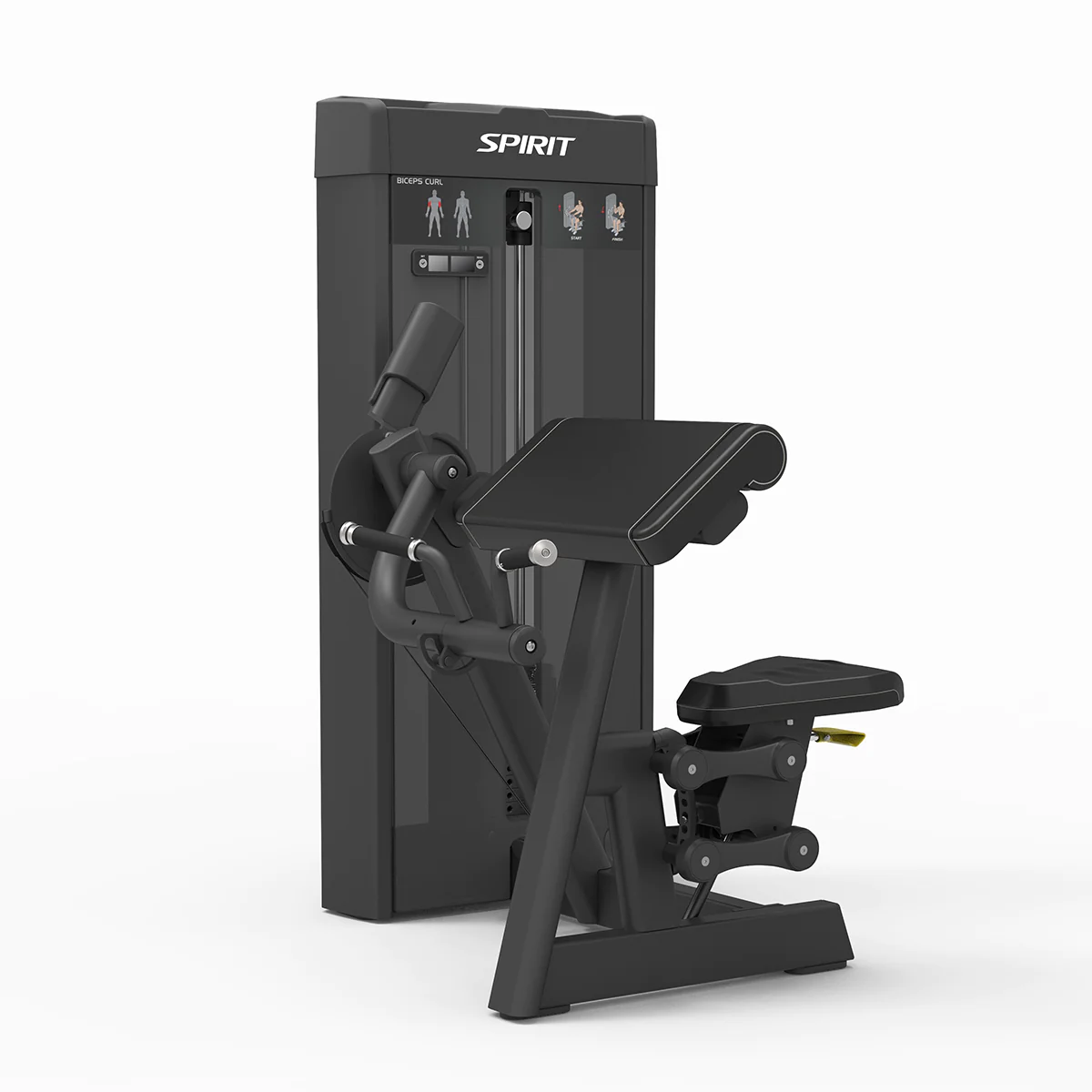 Spirit Strength Selectorized Biceps Curl Machine - gratis montage afbeelding