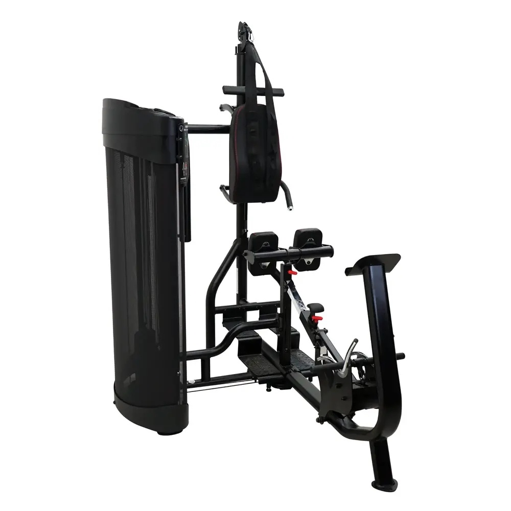 Inspire Fitness DUAL Station Ab and Back Machine afbeelding