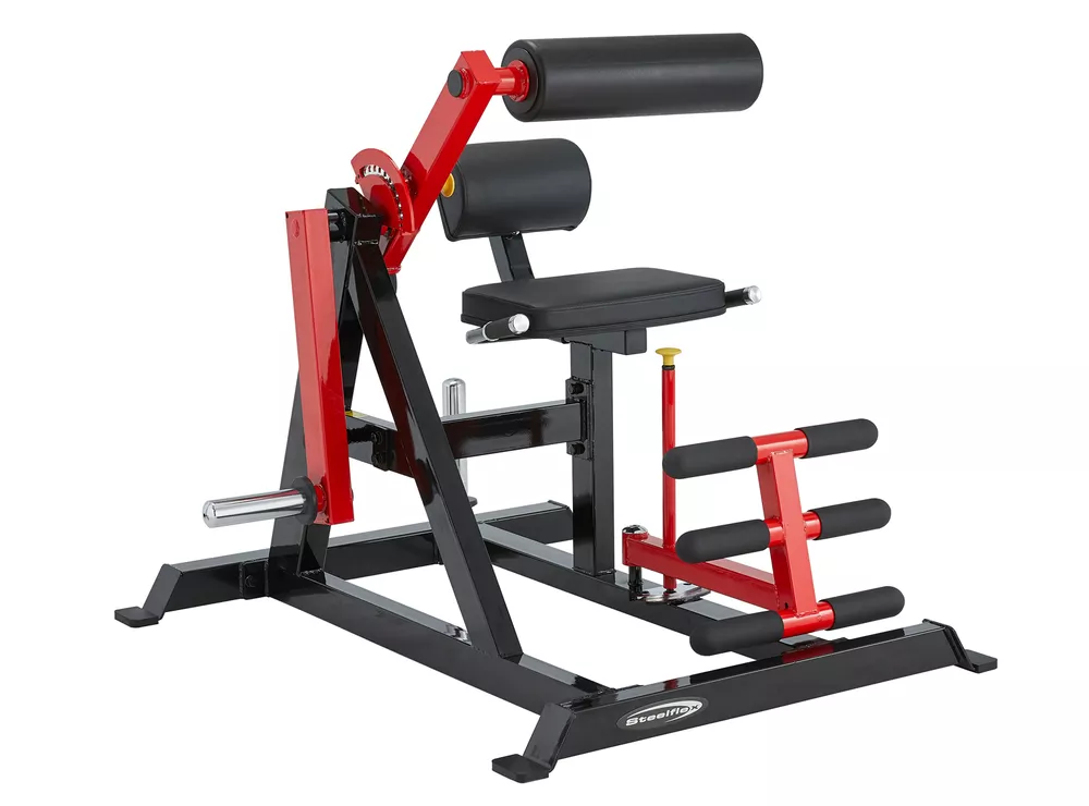 Steelflex PL2400-BR Ab Crunch & Back Extension Machine afbeelding