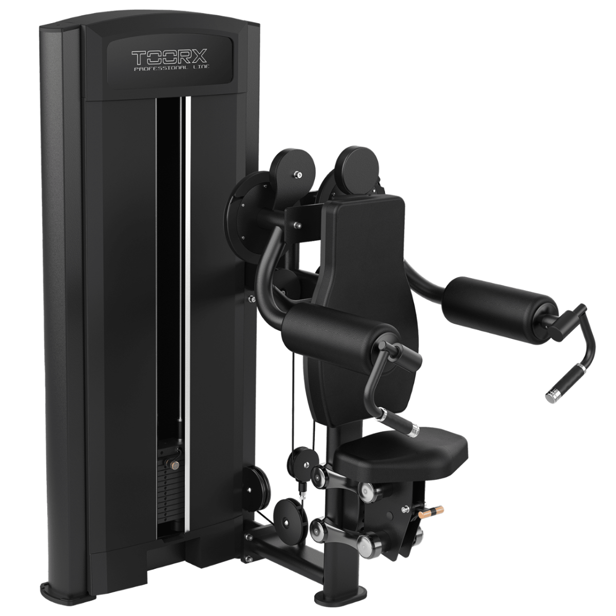Toorx Professional Lateral Raise PLX 6150 black afbeelding