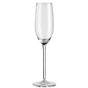 Perfect Decorations Champagne glas 21 cl (verhuur)
