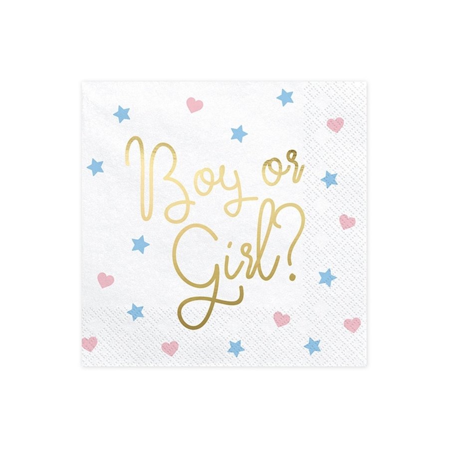 Servetten Boy or Girl (20 st.)-1