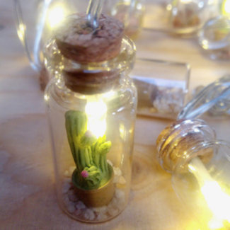Mini Lights: lichtsnoer met flesjes cactus