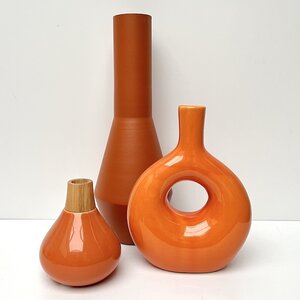 ORANJE VAZEN