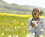 Hooikoortsseizoen: wanneer heb je de meeste klachten?