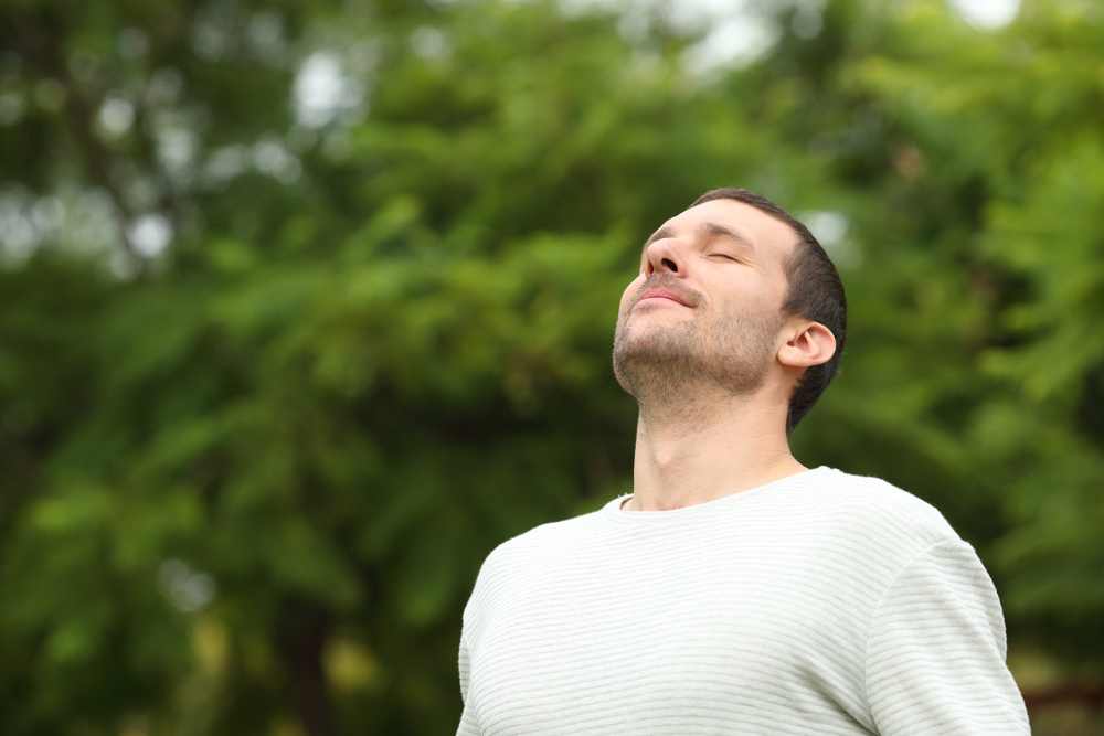 The complaints and symptoms of hay fever