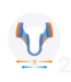 Airmax Nose Dilator (2 pieces)