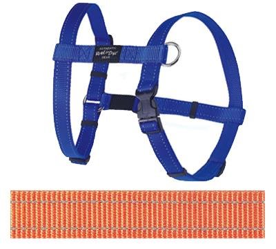 Afbeelding Rogz for Dogs Fanbelt Hondentuig Verstelbaar Oranje 75 x 2 cm door Online-dierenwinkel.eu