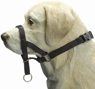 Afbeelding IPTS Dog control Nylon Zwart 34 cm door Online-dierenwinkel.eu