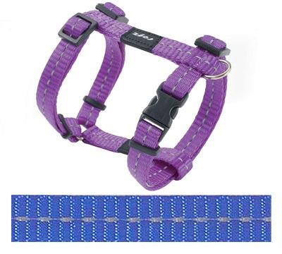 Afbeelding Rogz for Dogs Nitelife Hondentuig Verstelbaar Blauw 36 x 1,1 cm door Online-dierenwinkel.eu