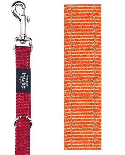 Afbeelding Rogz for dogs fanbelt multipurpose lijn oranje door Online-dierenwinkel.eu