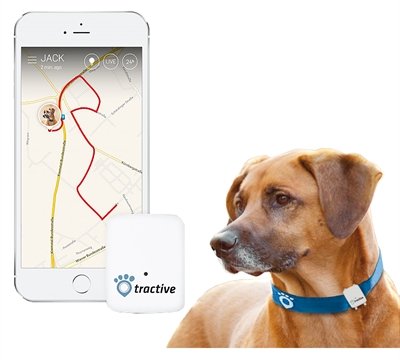Tractive Gps Tracker Voor Honden En Katten - Hondenlocatievinder - 51x41x15 mm Wit