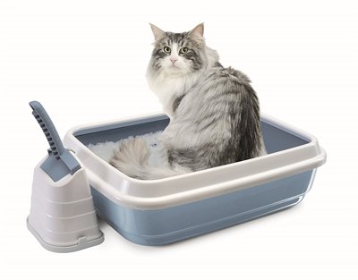 Afbeelding Imac kattenbak duo met kattenbakschep romeo blauw / wit 59x40x28 cm door Online-dierenwinkel.eu