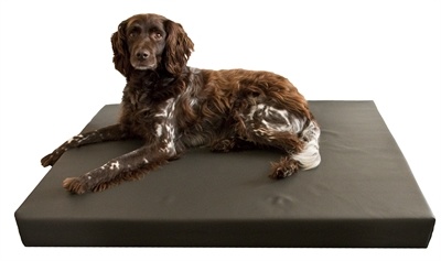 Afbeelding Hd orthopedisch honden ligbed grijs 100x75 cm door Online-dierenwinkel.eu