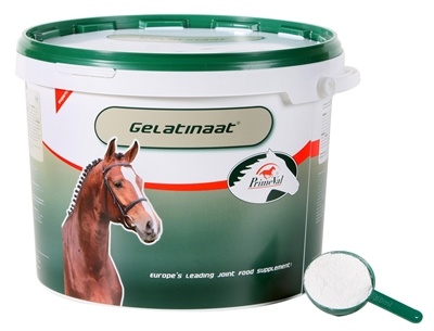 Afbeelding Primeval Gelatinaat paard - 5 kg door Online-dierenwinkel.eu