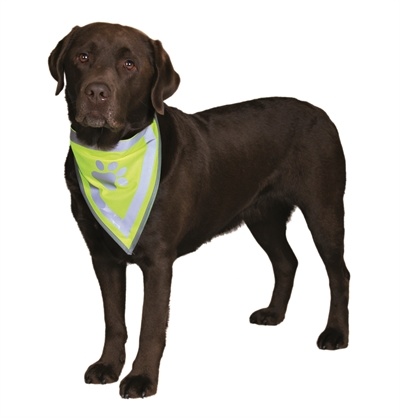 Afbeelding Trixie reflecterende bandana geel Xs-s 22-28 cm door Online-dierenwinkel.eu