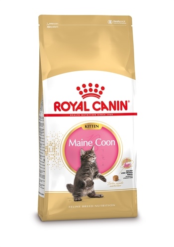 Afbeelding Royal Canin Kitten Maine Coon kattenvoer 4 kg door Online-dierenwinkel.eu