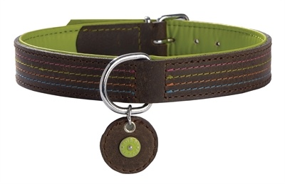 Bobby halsband voor hond dedicace groen 45x2,5 cm