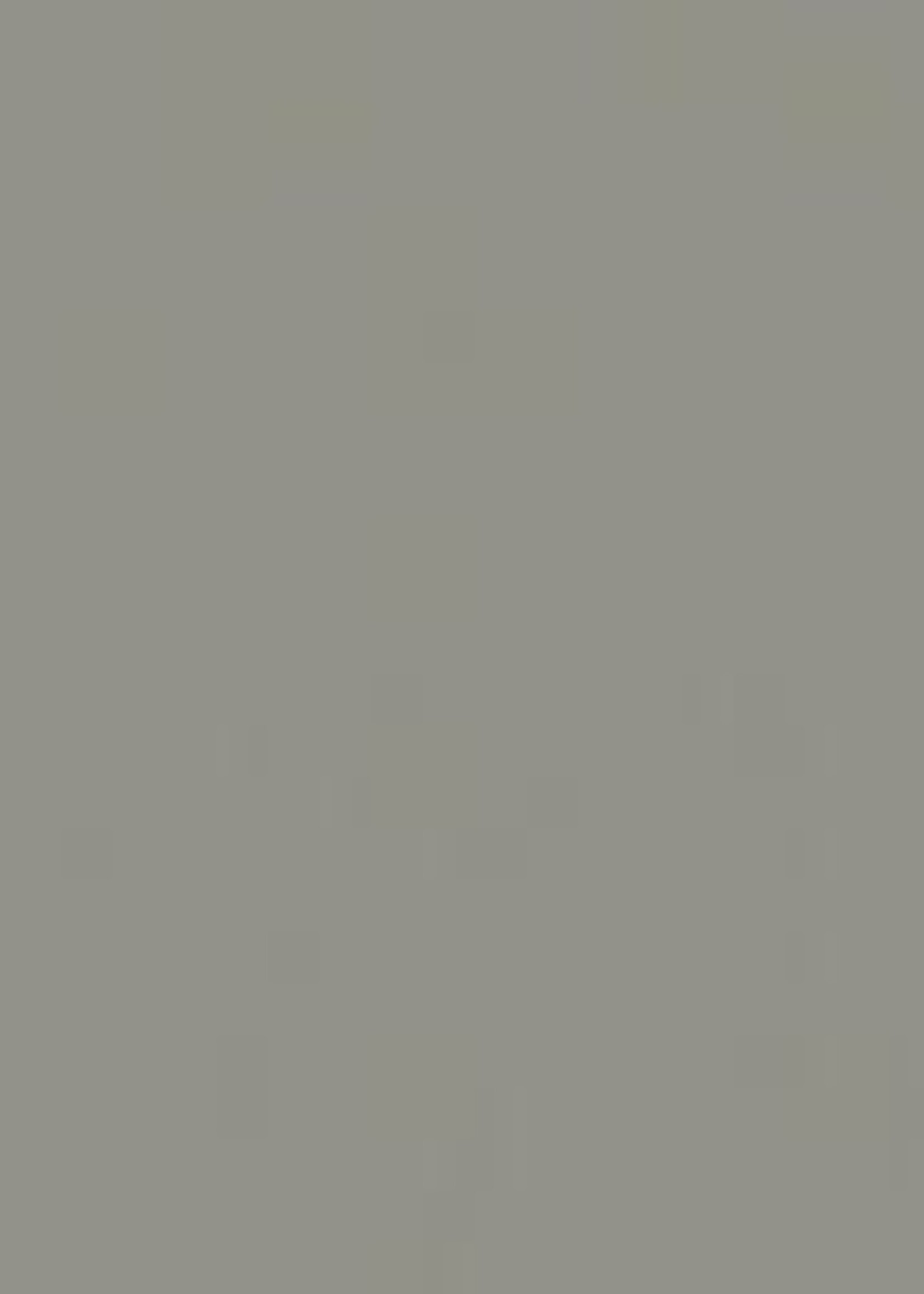 Remmers Epoxy BS 2000 Steengrijs