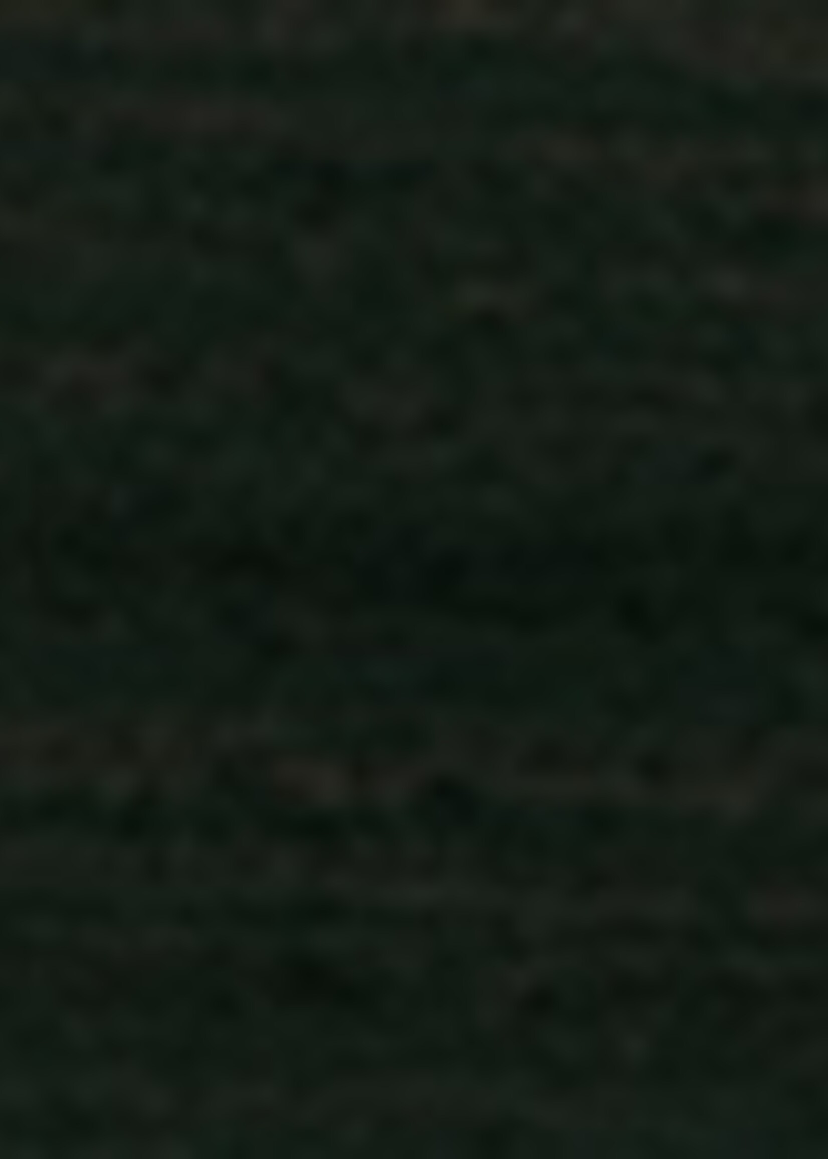 Remmers HK Lazuur Ebben