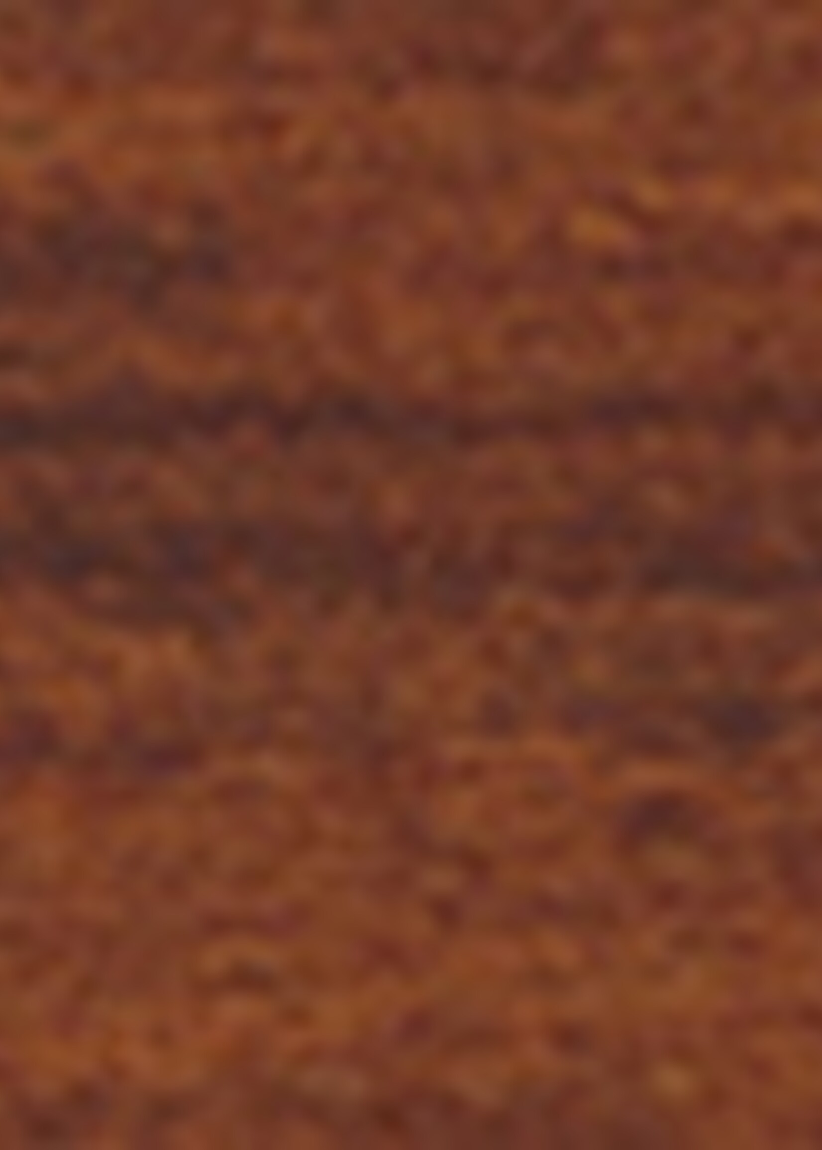 Remmers HK Lazuur Kastanje