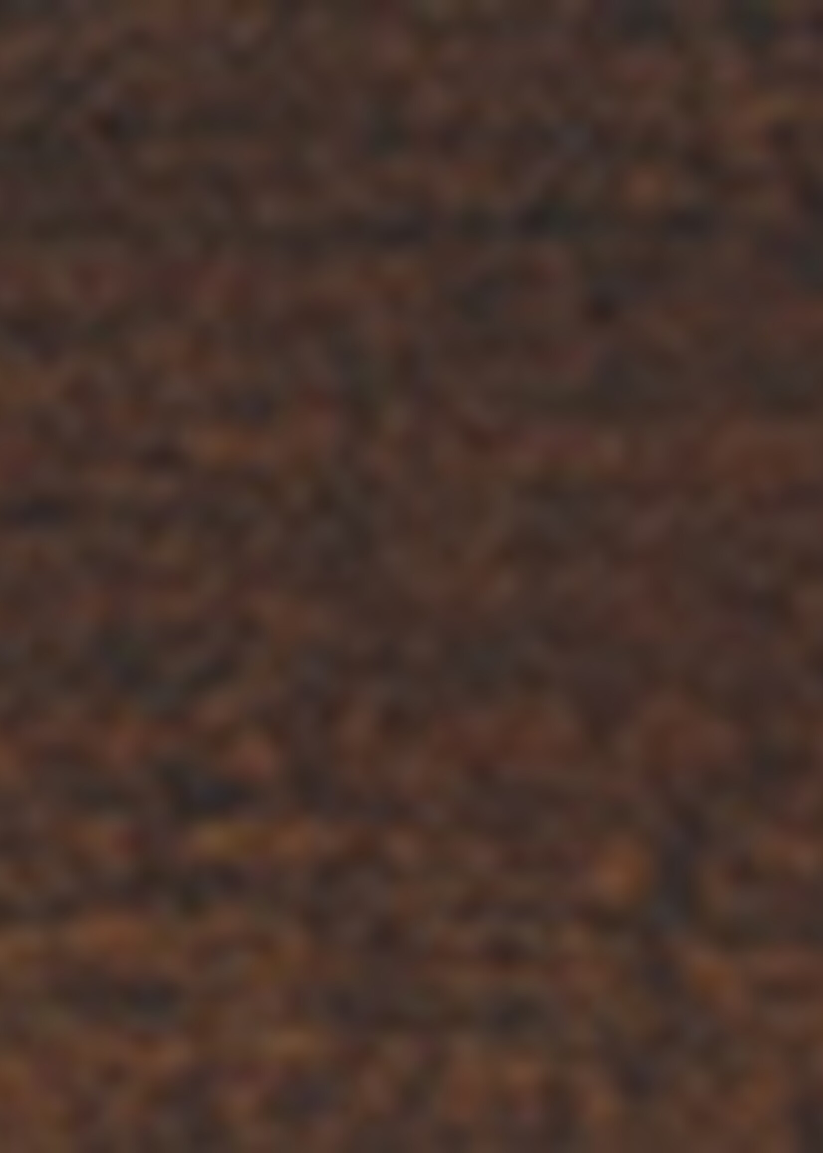 Remmers HK Lazuur Palissander