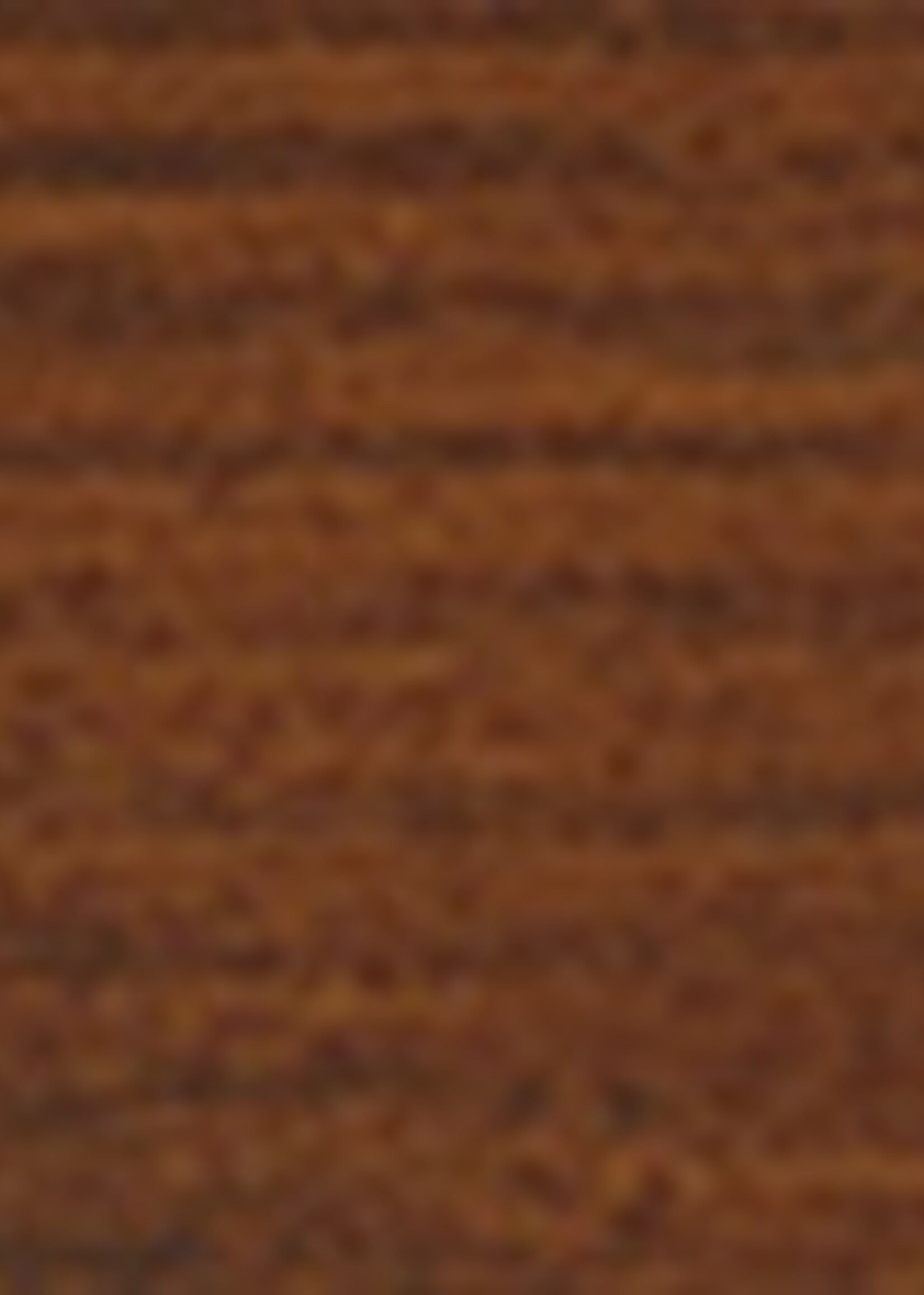 Remmers HK Lazuur Noten