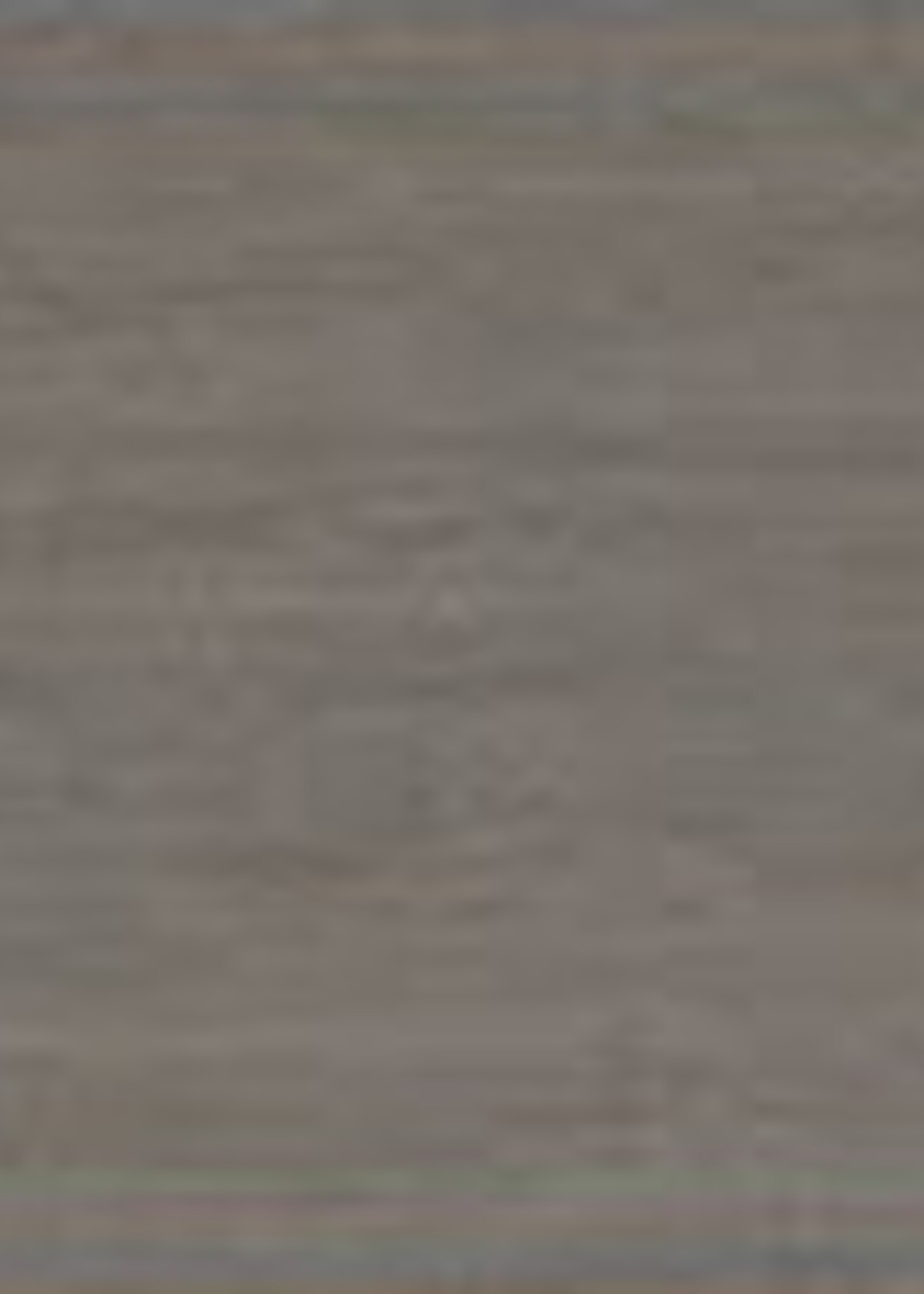 Remmers HK Lazuur Grafietgrijs