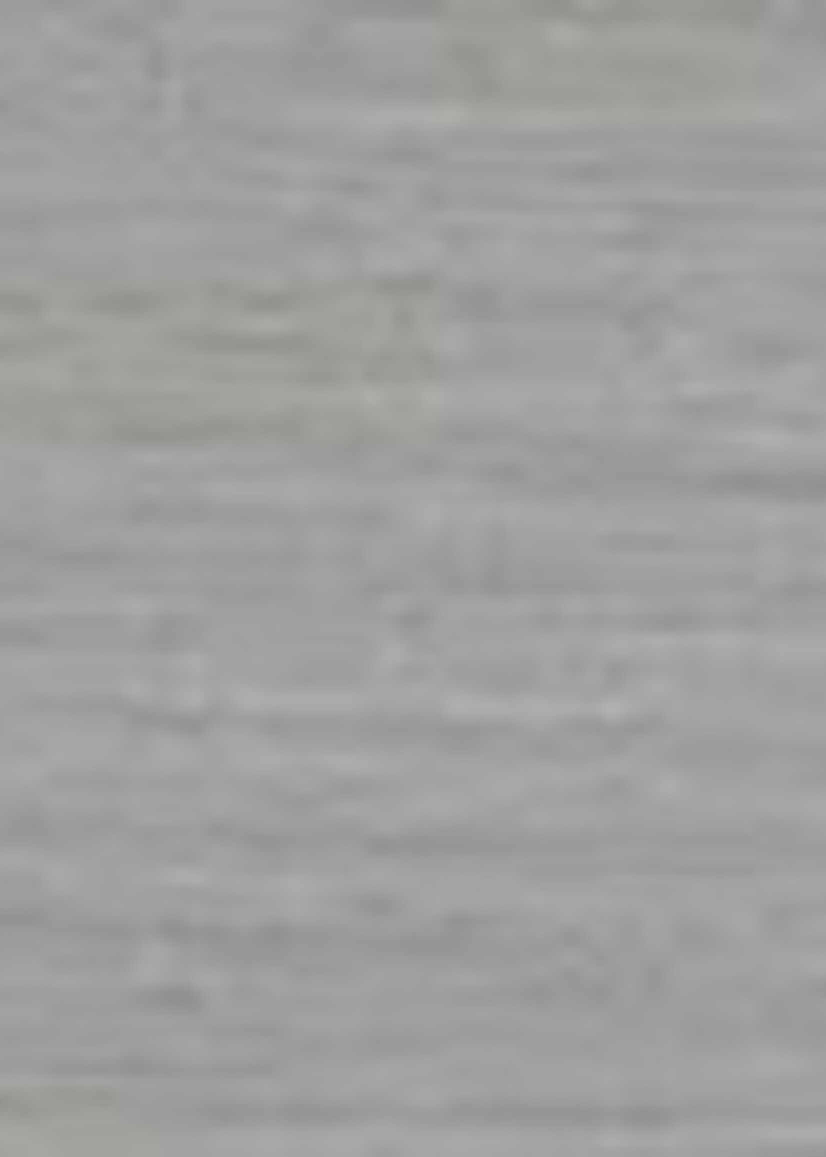 Remmers HK Lazuur Platinagrijs