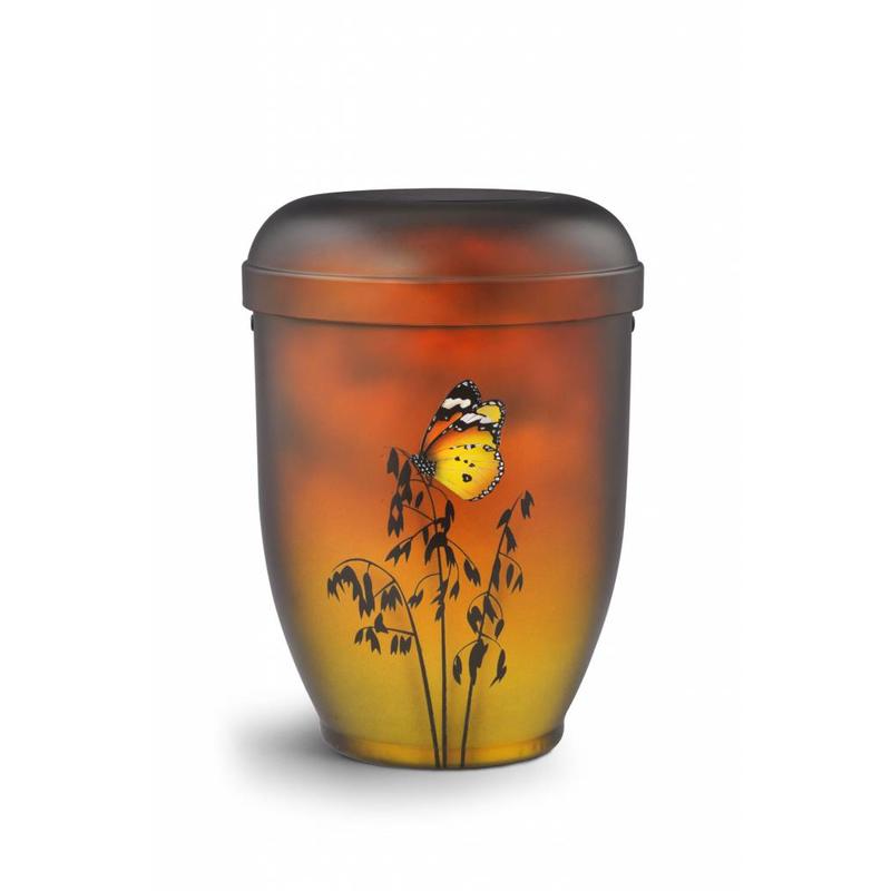 Butterfly urn - bio