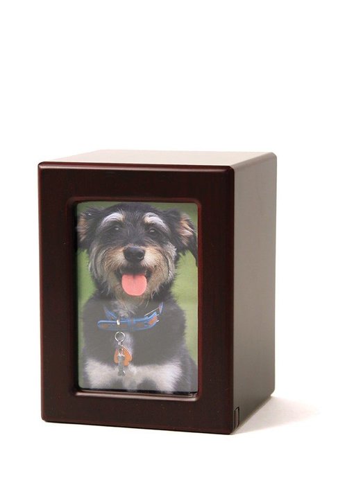 Dierenurn cherry met foto S - hout