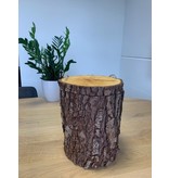 Els boom urn - hout