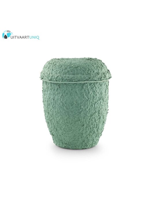 Cellulose urn - bio