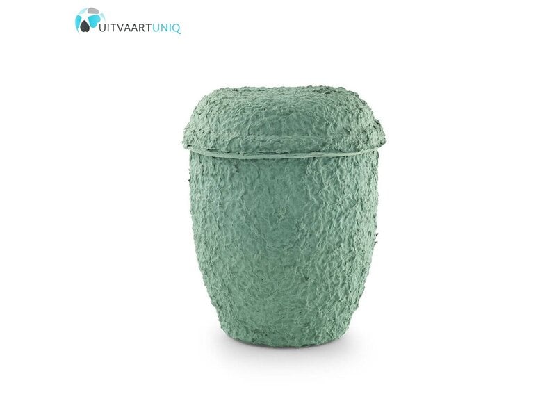 Cellulose urn - bio