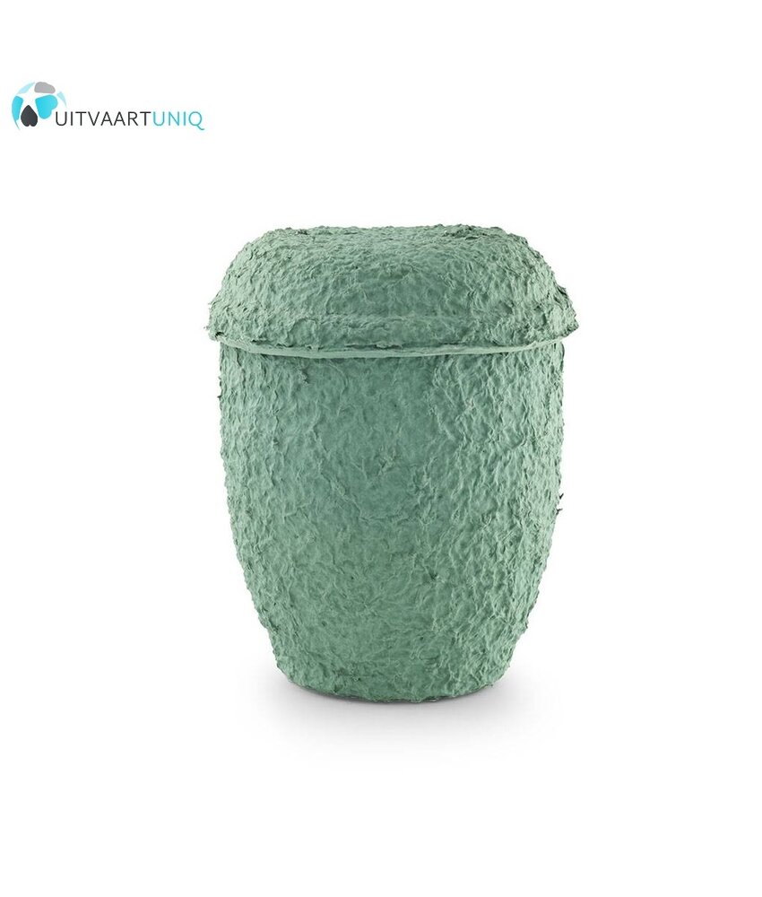 Cellulose urn - bio