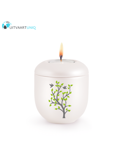 Mini urn Parlemoer voorjaar – met lichtje