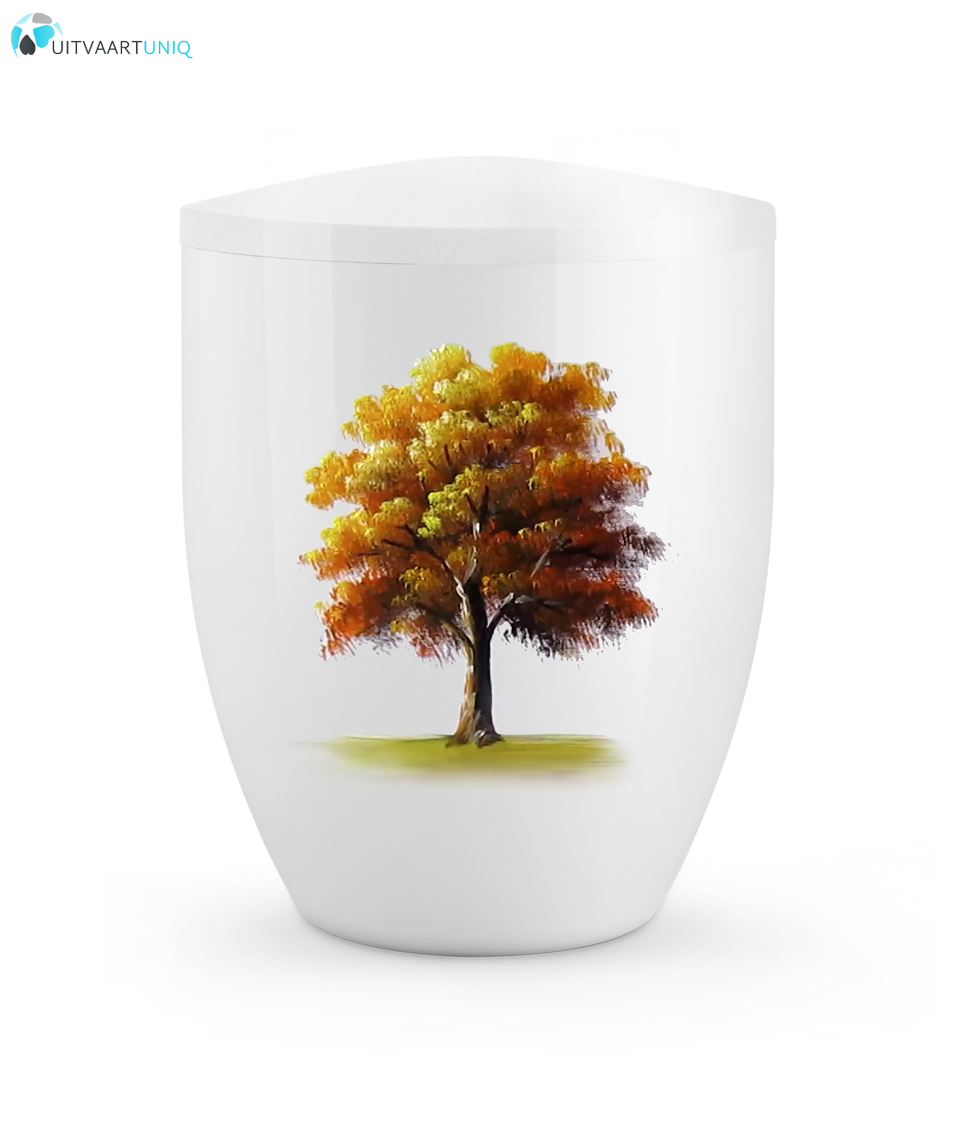  Urn Hoogglans wit esdoorn herfst - bio