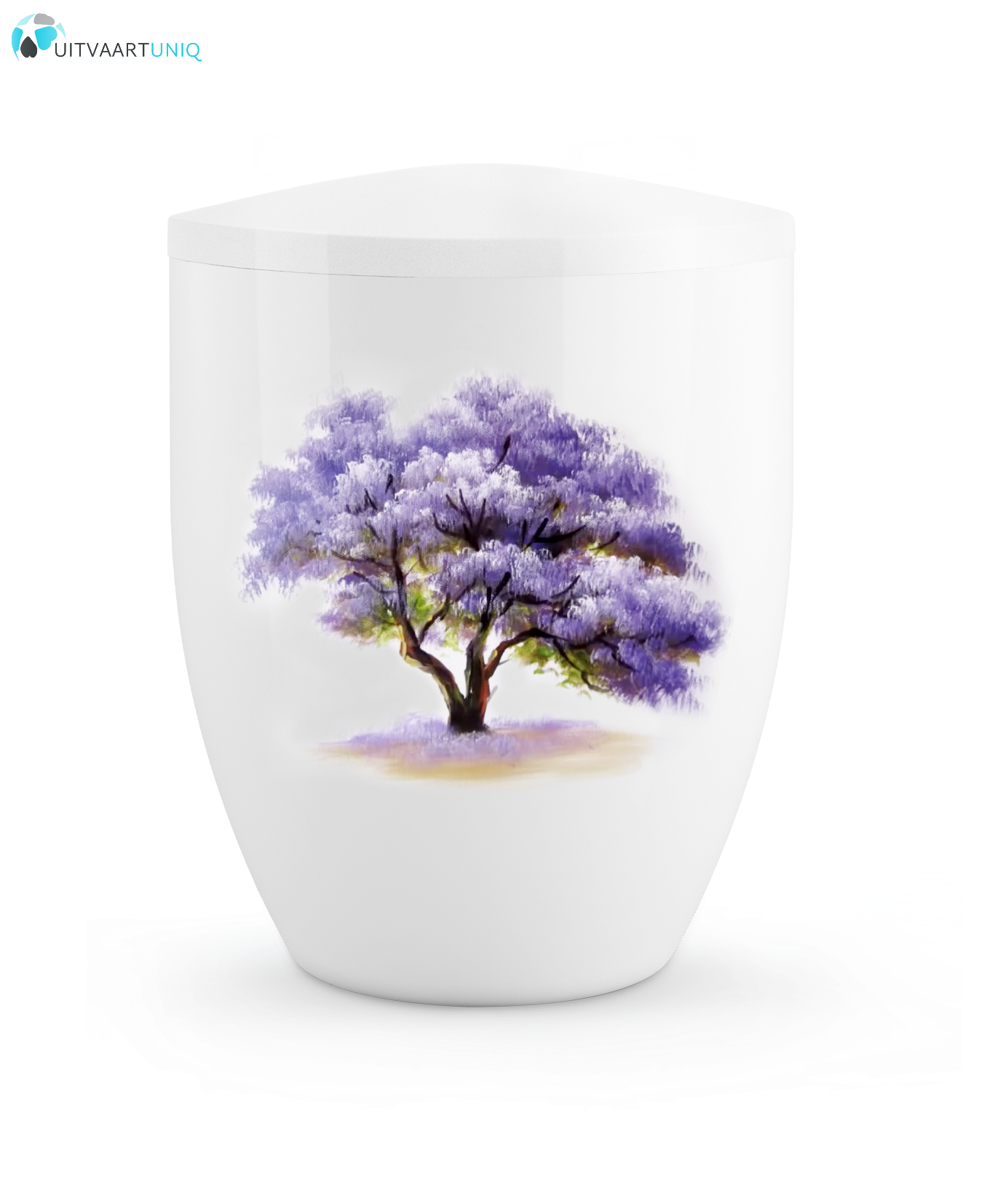  Urn Hoogglans wit Paulownia  - bio