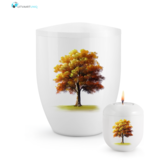 Urn Hoogglans wit esdoorn herfst - bio