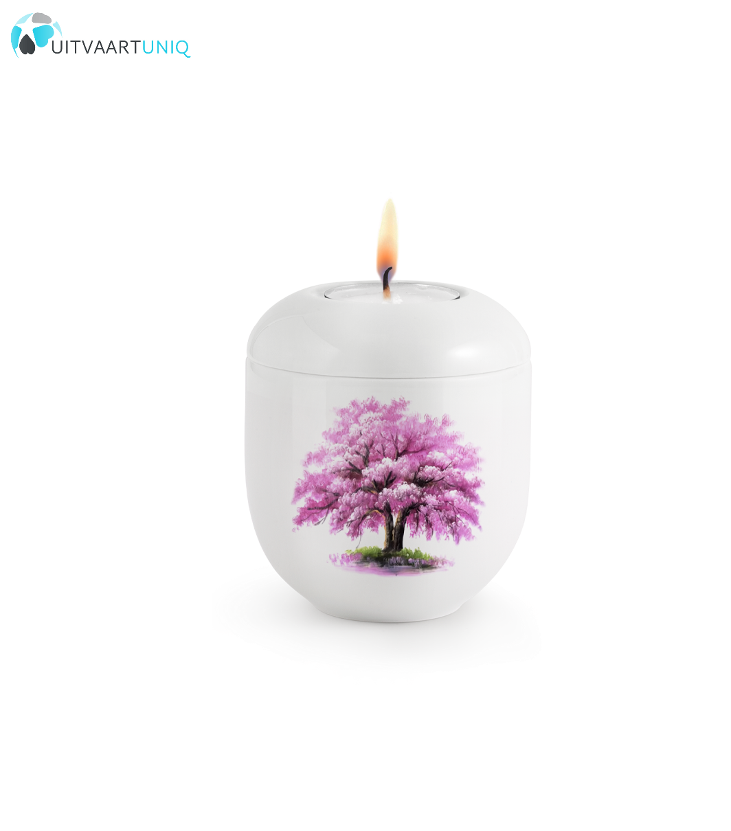  Mini urn Hoogglans wit magnoliaboom – met lichtje