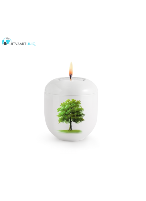 Mini urn Hoogglans wit esdoorn zomer  – met lichtje