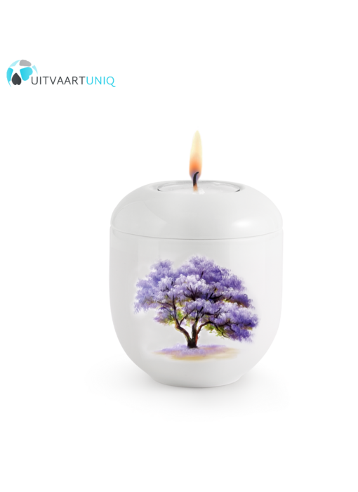 Mini urn Hoogglans wit Paulownia  – met lichtje