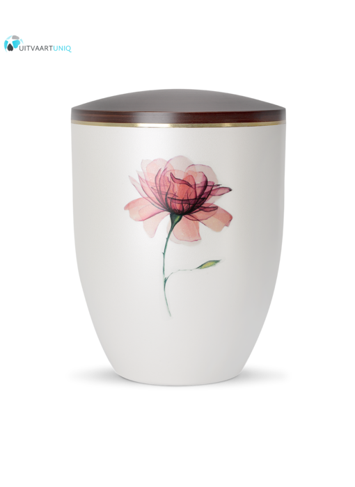 Urn Parlemoer roos - bio