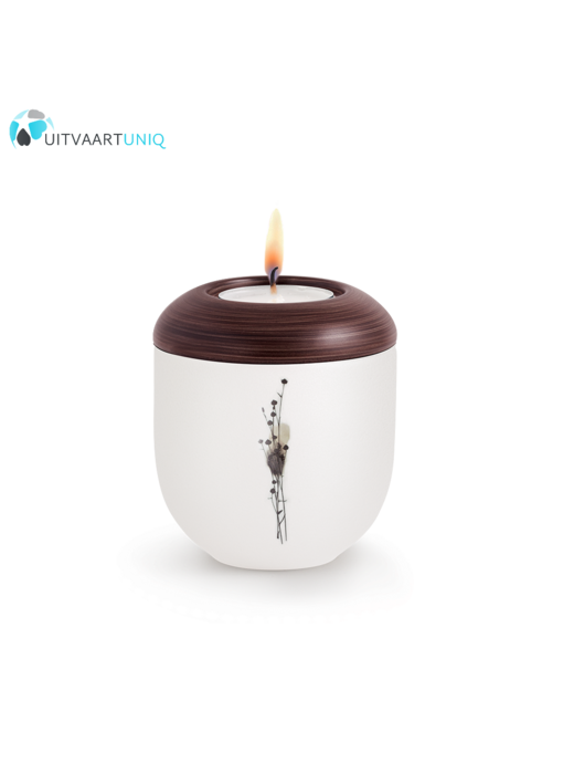 Mini urn Parlemoer droogbloemen – met lichtje