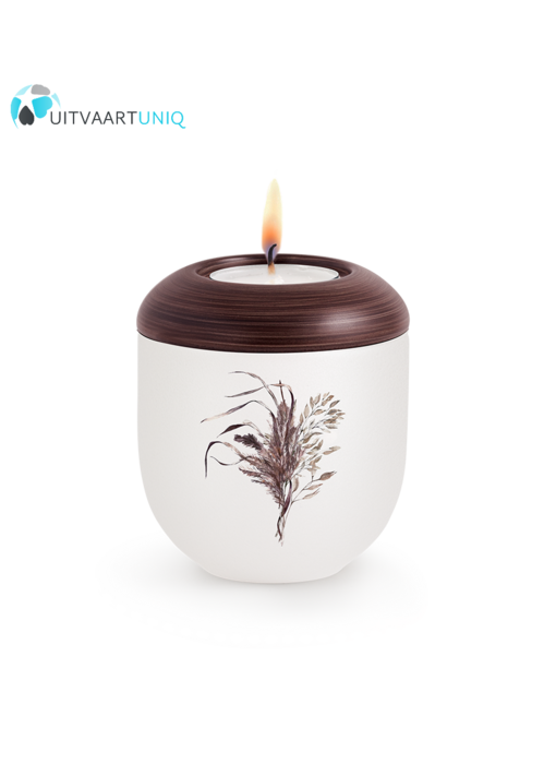 Mini urn Parlemoer gras – met lichtje