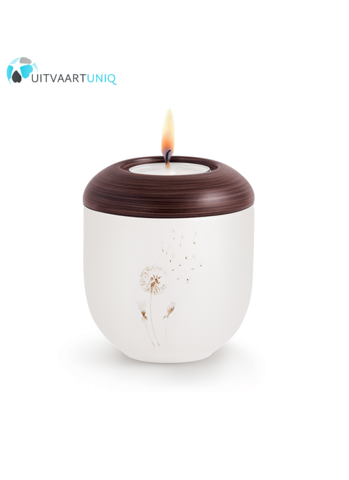 Mini urn Parlemoer paardenbloem – met lichtje
